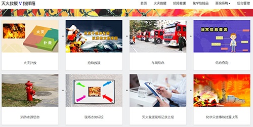 美女的隐藏部位是什么图片