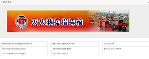 美女的隐藏部位是什么图片