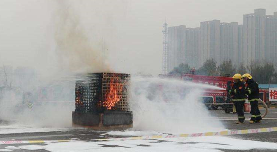 美女的隐藏部位是什么图片