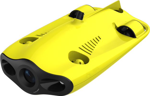 美女的隐藏部位是什么图片