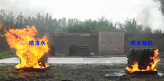 美女的隐藏部位是什么图片