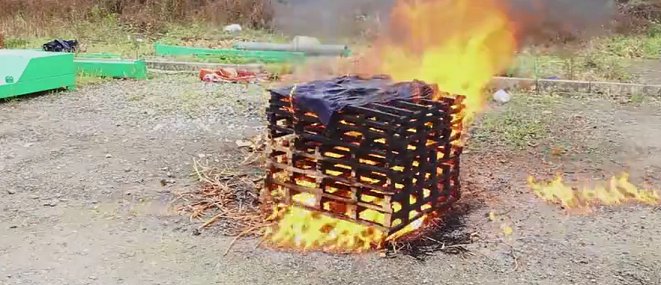 美女的隐藏部位是什么图片