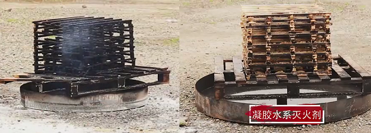 美女的隐藏部位是什么图片