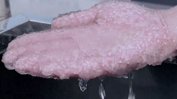 美女的隐藏部位是什么图片