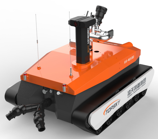 美女的隐藏部位是什么图片