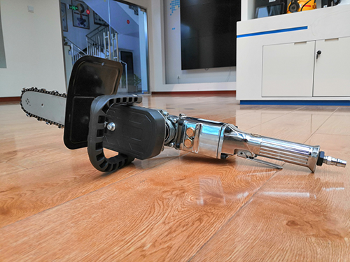 美女的隐藏部位是什么图片