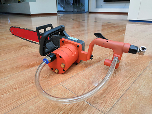 美女的隐藏部位是什么图片