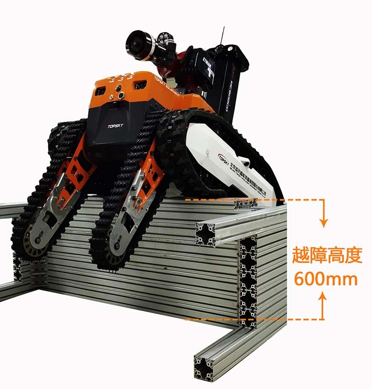 美女的隐藏部位是什么图片