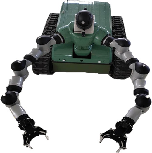 美女的隐藏部位是什么图片