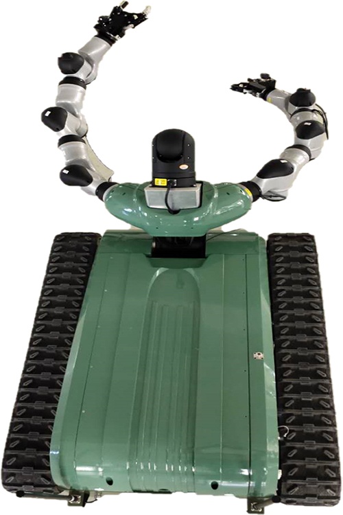 美女的隐藏部位是什么图片