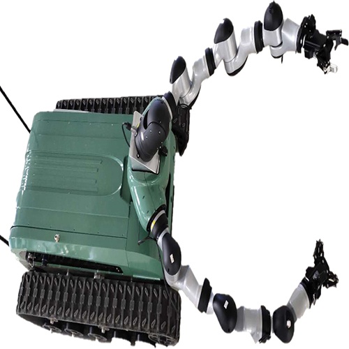 美女的隐藏部位是什么图片