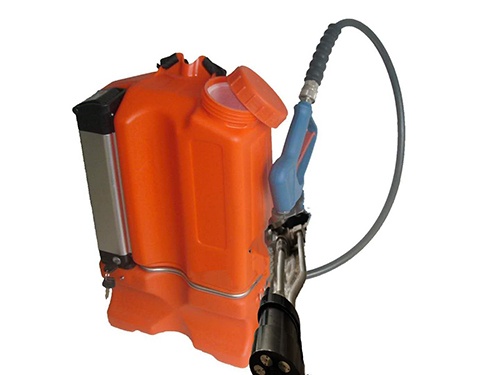 美女的隐藏部位是什么图片