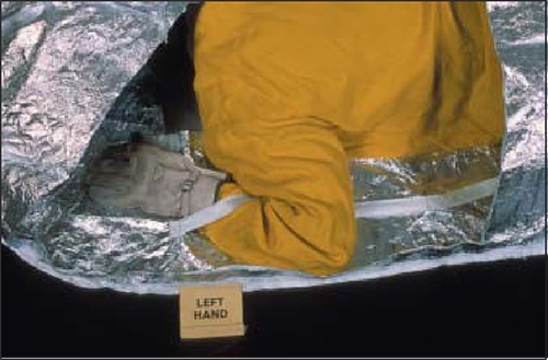 美女的隐藏部位是什么图片