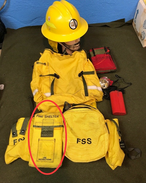 美女的隐藏部位是什么图片