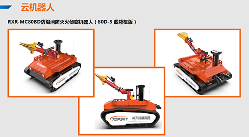 美女的隐藏部位是什么图片