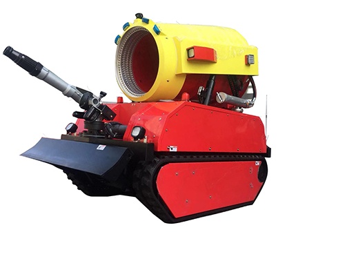 美女的隐藏部位是什么图片