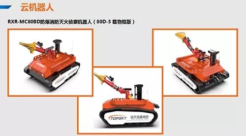 美女的隐藏部位是什么图片