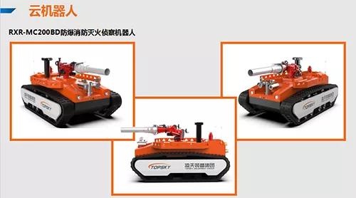 美女的隐藏部位是什么图片