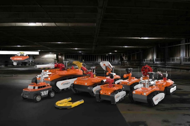 美女的隐藏部位是什么图片