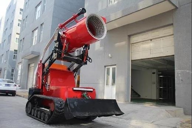 美女的隐藏部位是什么图片