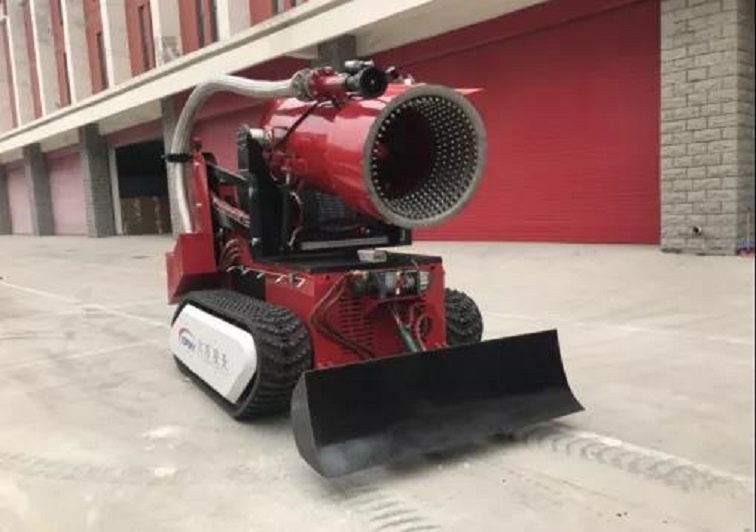 美女的隐藏部位是什么图片