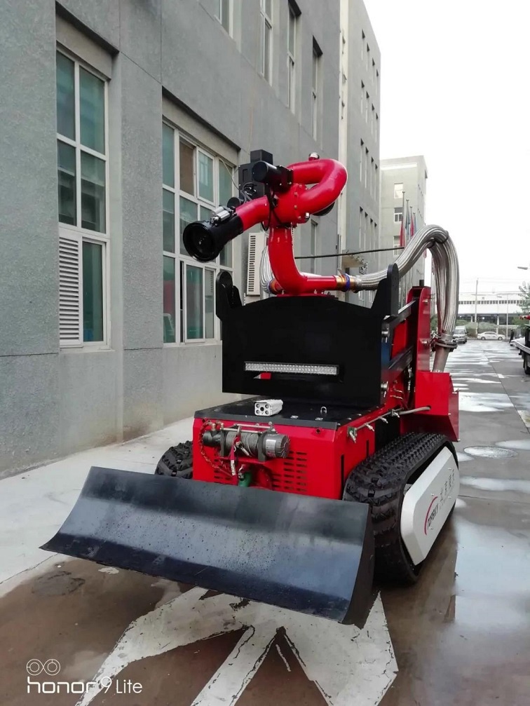 美女的隐藏部位是什么图片