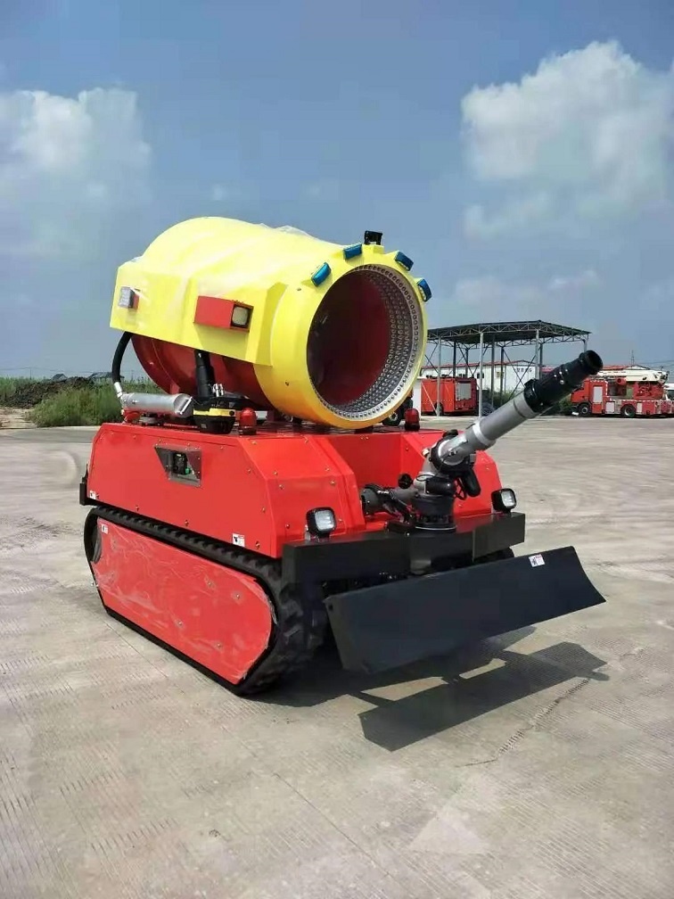 美女的隐藏部位是什么图片