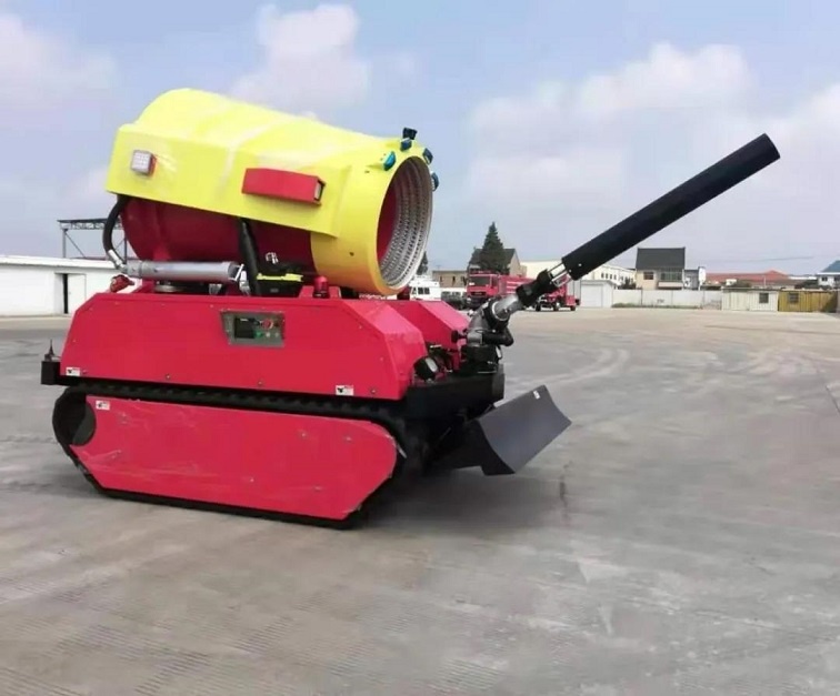 美女的隐藏部位是什么图片