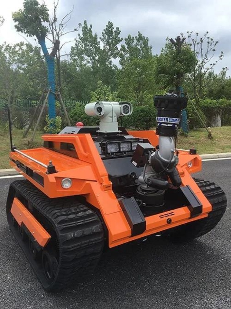 美女的隐藏部位是什么图片