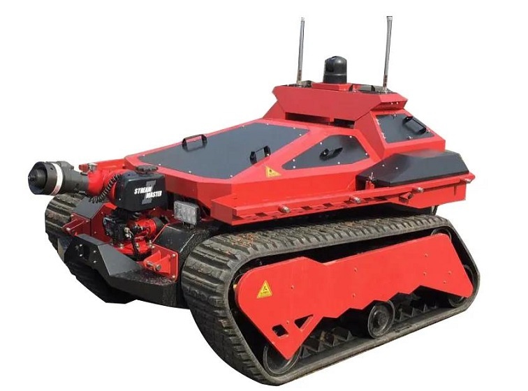 美女的隐藏部位是什么图片