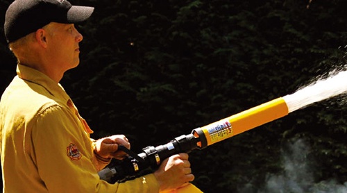 美女的隐藏部位是什么图片