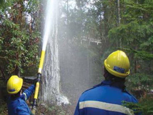 美女的隐藏部位是什么图片