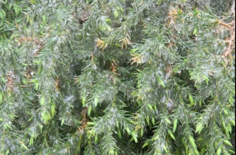 美女的隐藏部位是什么图片