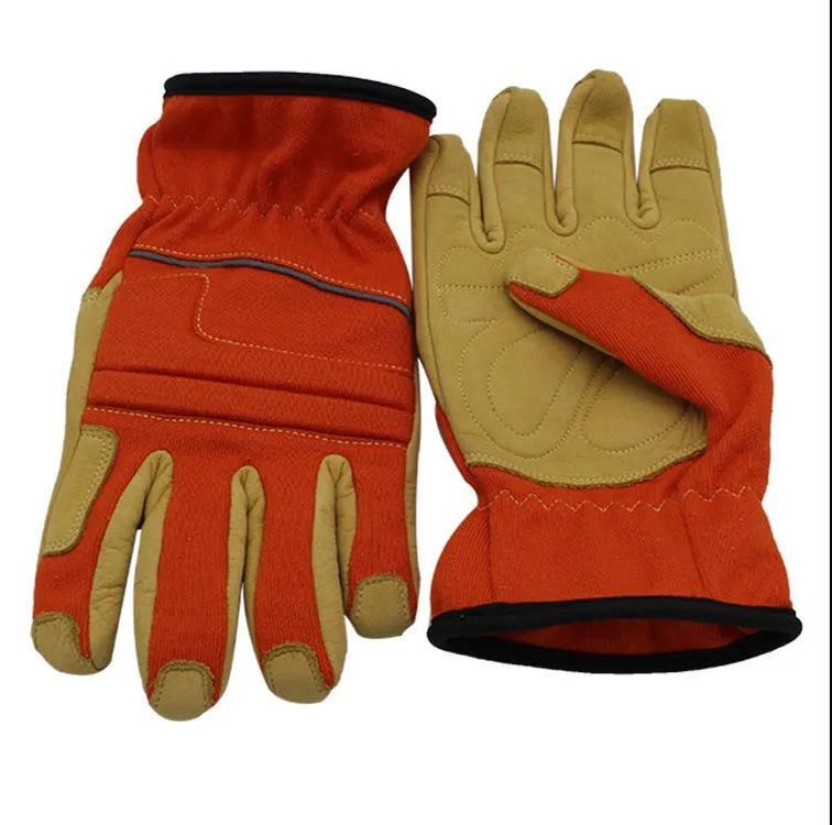 美女的隐藏部位是什么图片