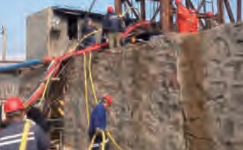 美女的隐藏部位是什么图片