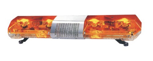 美女的隐藏部位是什么图片