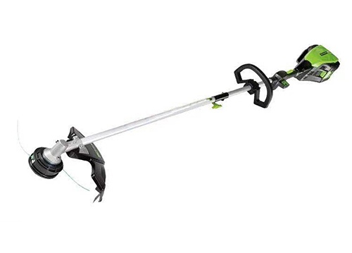 美女的隐藏部位是什么图片