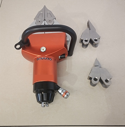 美女的隐藏部位是什么图片