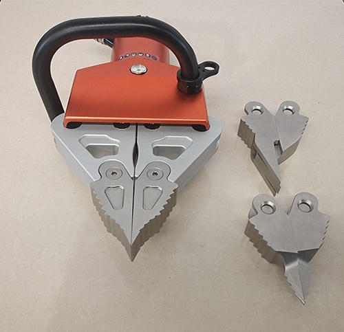 美女的隐藏部位是什么图片