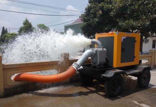 美女的隐藏部位是什么图片