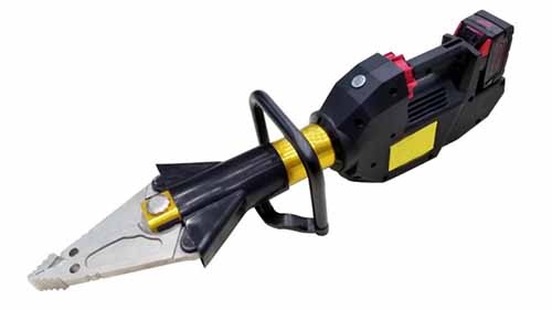 美女的隐藏部位是什么图片