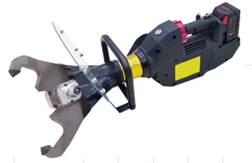 美女的隐藏部位是什么图片