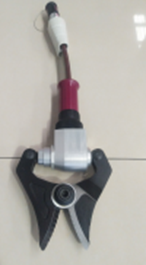 美女的隐藏部位是什么图片