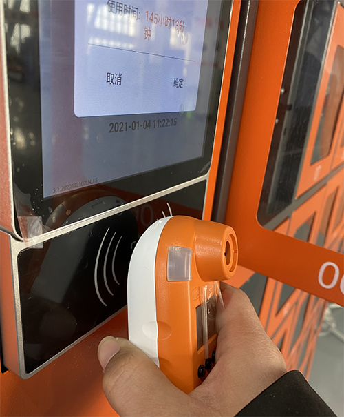 美女的隐藏部位是什么图片