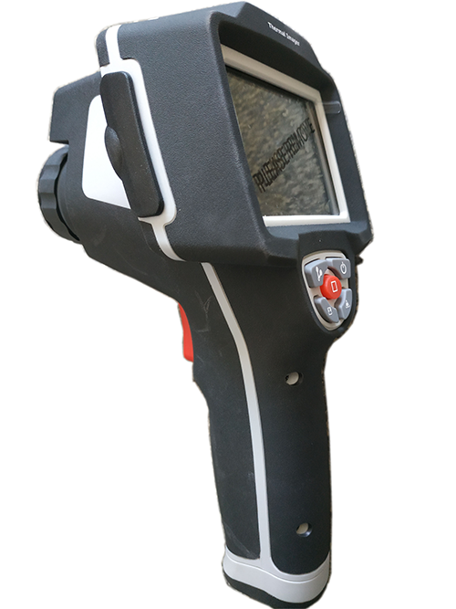 美女的隐藏部位是什么图片