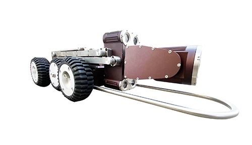 美女的隐藏部位是什么图片