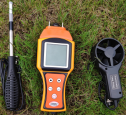 美女的隐藏部位是什么图片