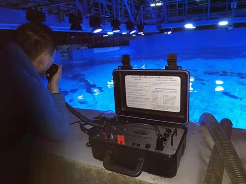 美女的隐藏部位是什么图片