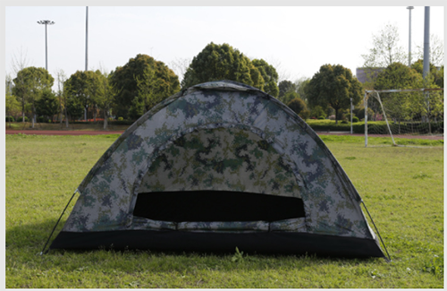 美女的隐藏部位是什么图片