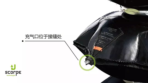 美女的隐藏部位是什么图片